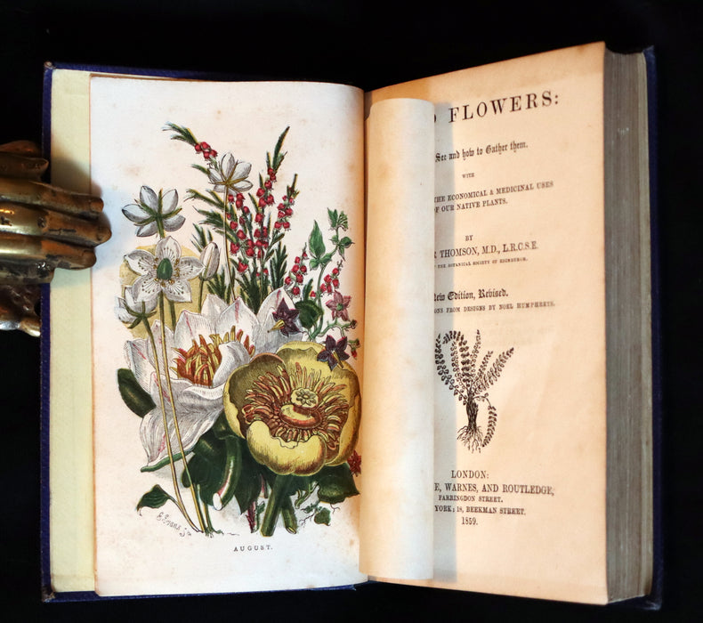 1859 Rare Book - Wild Flowers and Medicinal Uses color Illustrated by Noel Humphreys.