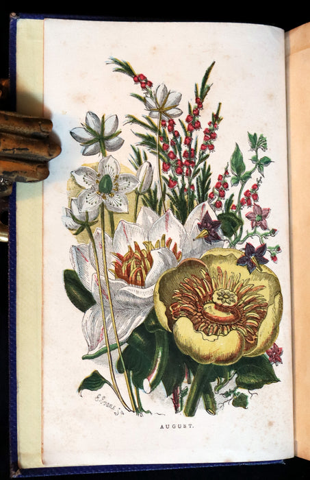 1859 Rare Book - Wild Flowers and Medicinal Uses color Illustrated by Noel Humphreys.