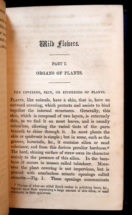 1859 Rare Book - Wild Flowers and Medicinal Uses color Illustrated by Noel Humphreys.