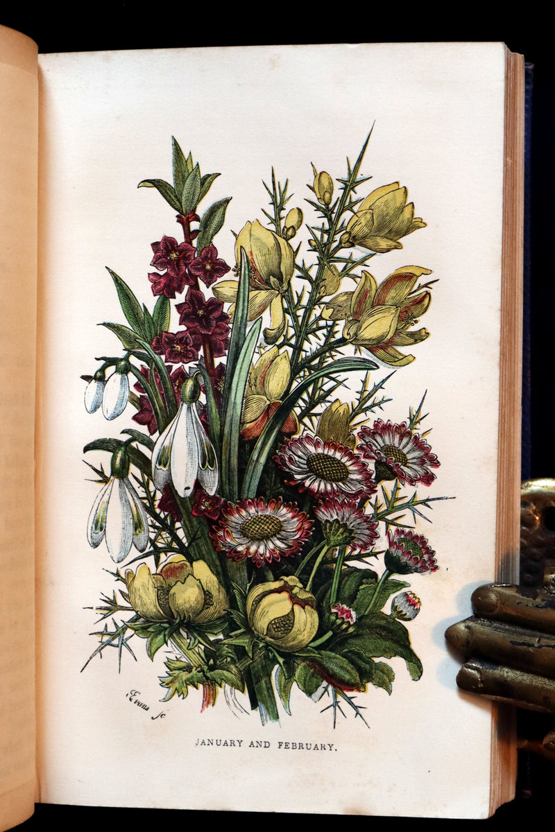 1859 Rare Book - Wild Flowers and Medicinal Uses color Illustrated by Noel Humphreys.