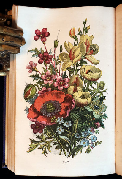 1859 Rare Book - Wild Flowers and Medicinal Uses color Illustrated by Noel Humphreys.