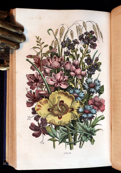 1859 Rare Book - Wild Flowers and Medicinal Uses color Illustrated by Noel Humphreys.