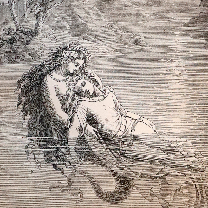 1890 Rare Victorian Book - Hans Christian Andersen's FAIRY TALES with 100 illustrations.