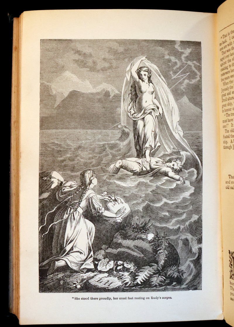 1890 Rare Victorian Book - Hans Christian Andersen's FAIRY TALES with 100 illustrations.