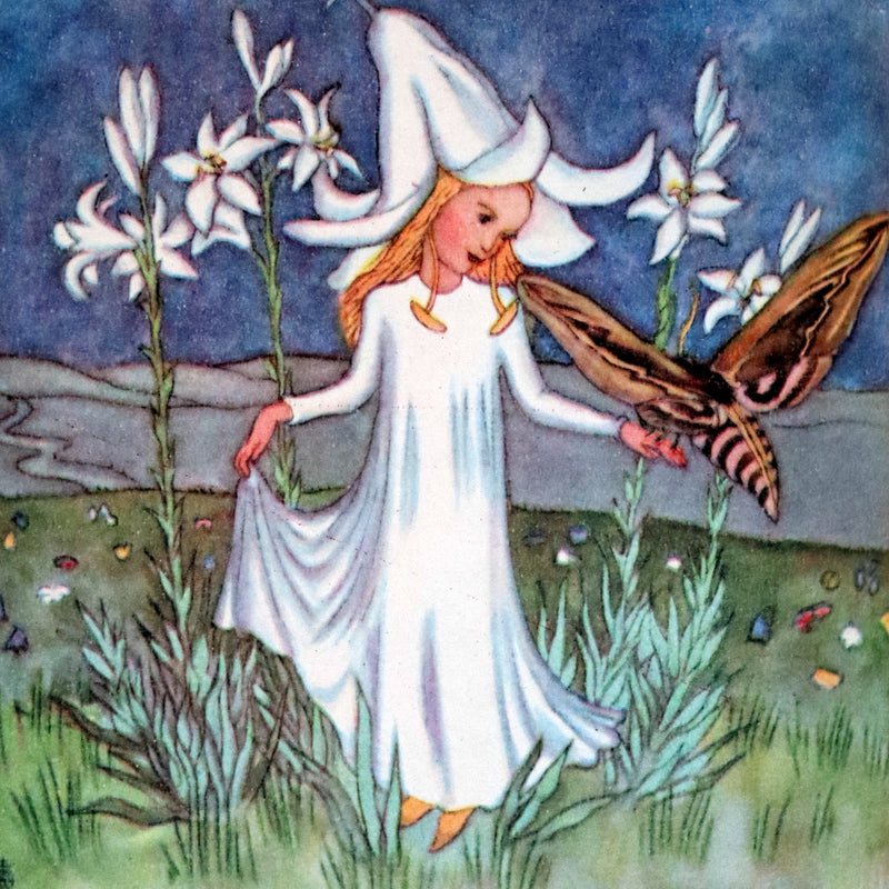 1946 Scarce First English Edition - The FLOWER BOOK illustrated by Ida Bohatta Morpurgo.