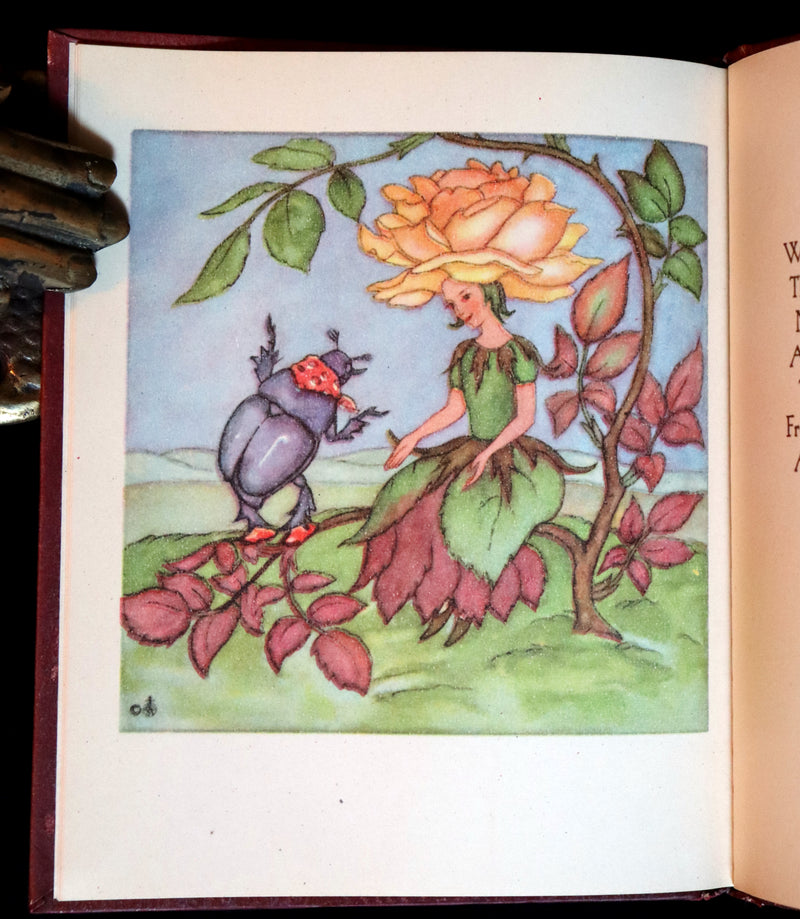 1946 Scarce First English Edition - The FLOWER BOOK illustrated by Ida Bohatta Morpurgo.