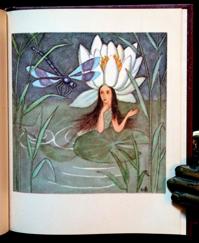 1946 Scarce First English Edition - The FLOWER BOOK illustrated by Ida Bohatta Morpurgo.