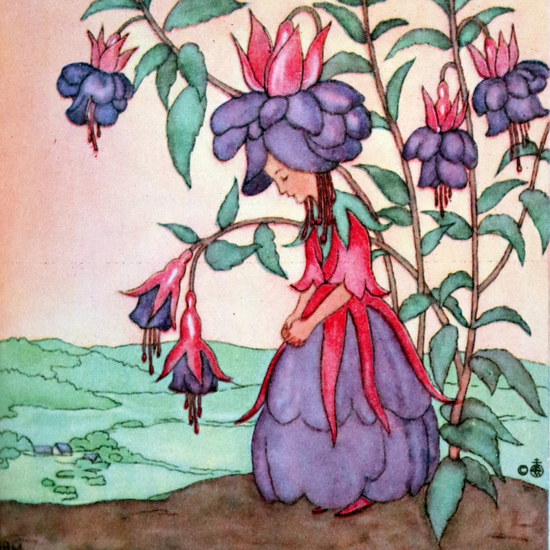 1946 Scarce First English Edition - The FLOWER BOOK illustrated by Ida Bohatta Morpurgo.