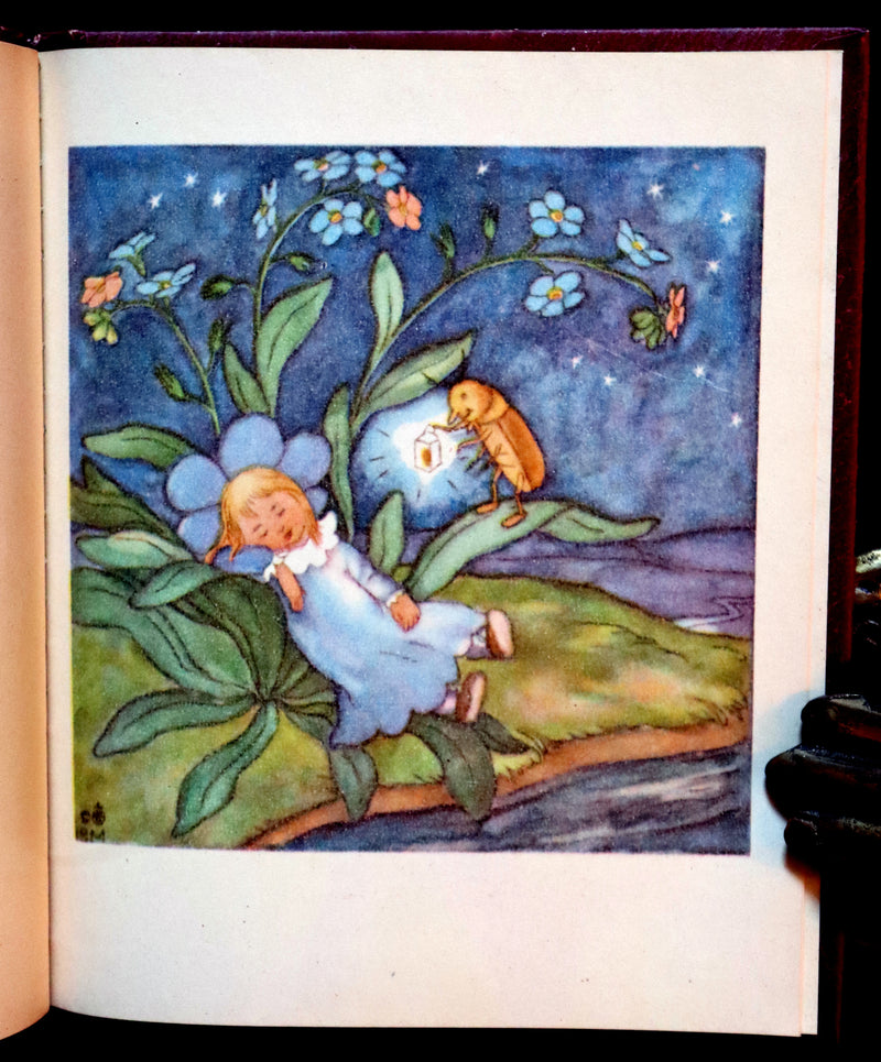1946 Scarce First English Edition - The FLOWER BOOK illustrated by Ida Bohatta Morpurgo.