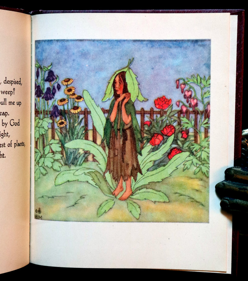 1946 Scarce First English Edition - The FLOWER BOOK illustrated by Ida Bohatta Morpurgo.