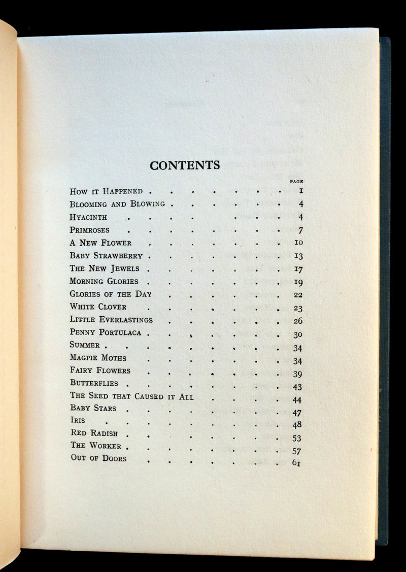 1916 Rare Book - RAINBOW CHILDREN by Edith Howes illustrated by Alice B. Woodward.