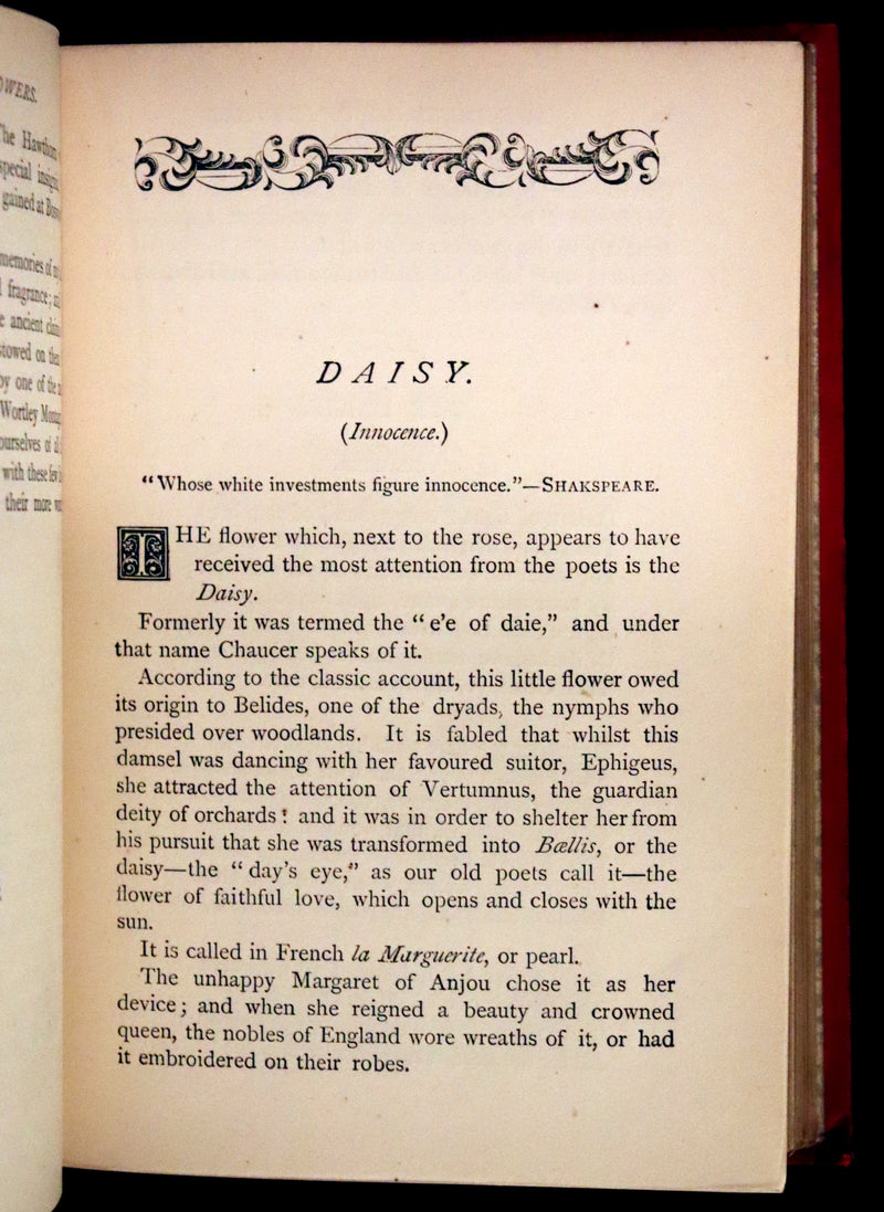 1870 Scarce Illustrated Floriography Book ~ The Language of Flowers Including Floral Poetry.