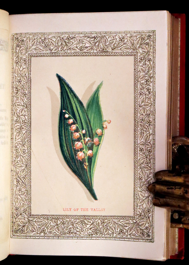 1870 Scarce Illustrated Floriography Book ~ The Language of Flowers Including Floral Poetry.