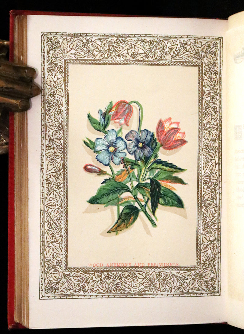 1870 Scarce Illustrated Floriography Book ~ The Language of Flowers Including Floral Poetry.
