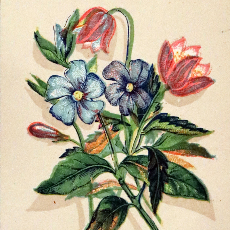 1870 Scarce Illustrated Floriography Book ~ The Language of Flowers Including Floral Poetry.