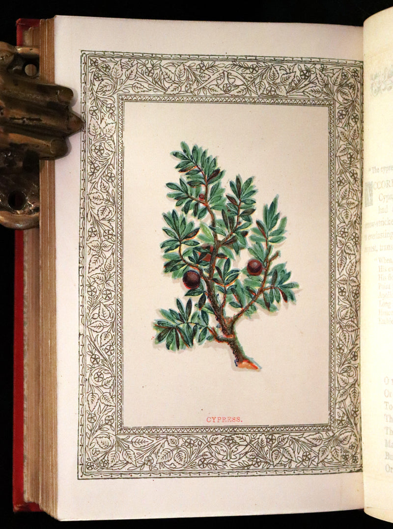 1870 Scarce Illustrated Floriography Book ~ The Language of Flowers Including Floral Poetry.