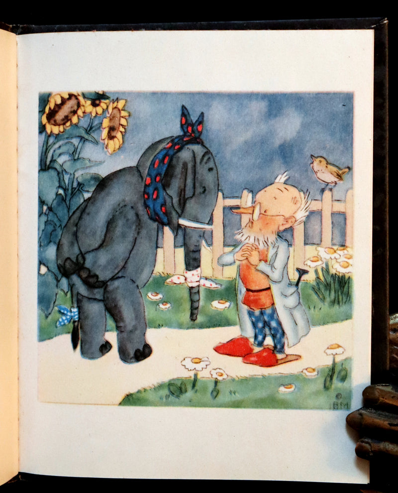 1943 Scarce First US Edition - The PET'S DOCTOR illustrated by Ida Bohatta Morpurgo.