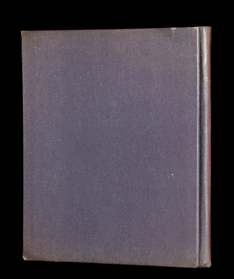 1935 Scarce First English Edition - THE BUSY BEES illustrated by Ida Bohatta-Morpurgo.