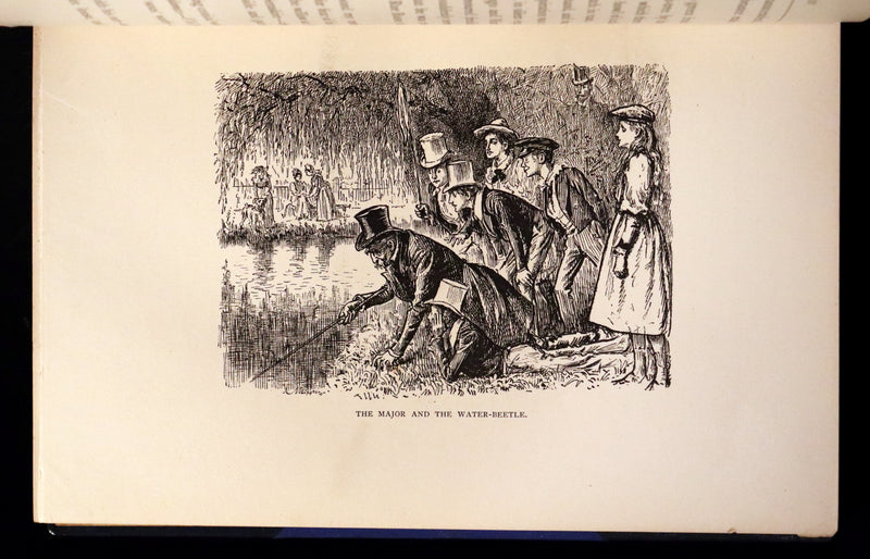1892 First Edition in 2 Volumes - Peter Ibbetson, Strange Tale of Communication through Dreams by George Du Maurier.
