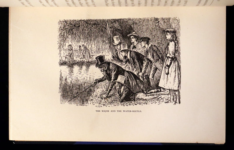 1892 First Edition in 2 Volumes - Peter Ibbetson, Strange Tale of Communication through Dreams by George Du Maurier.