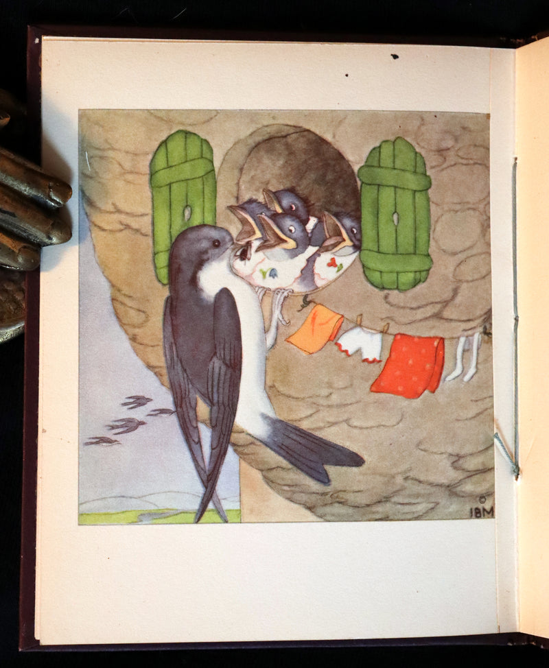 1934 Scarce First English Edition - THE BIRDS' BOOK illustrated by Ida Bohatta Morpurgo.