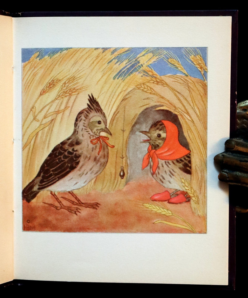 1934 Scarce First English Edition - THE BIRDS' BOOK illustrated by Ida Bohatta Morpurgo.