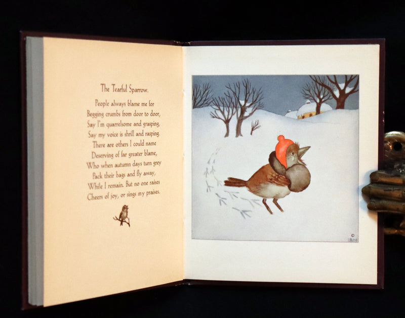 1934 Scarce First English Edition - THE BIRDS' BOOK illustrated by Ida Bohatta Morpurgo.