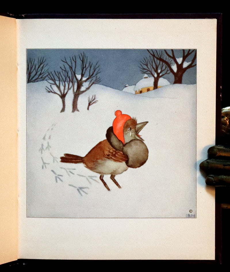 1934 Scarce First English Edition - THE BIRDS' BOOK illustrated by Ida Bohatta Morpurgo.