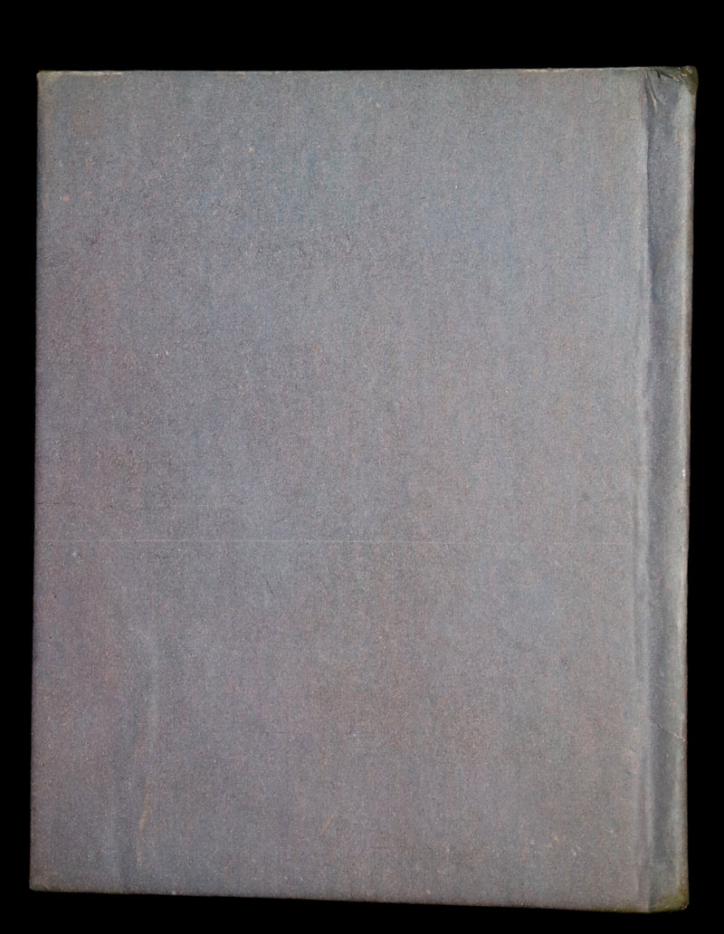 1946 Scarce First US Edition - THE BUSY BEES illustrated by Ida Bohatta-Morpurgo.