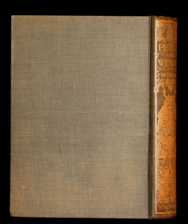 1911 Rare PETER PAN First Edition - PETER and WENDY by James Matthew Barrie illustrated by F.D. Bedford.