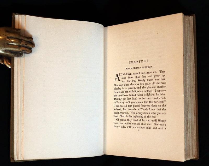 1911 Rare PETER PAN First Edition - PETER and WENDY by James Matthew Barrie illustrated by F.D. Bedford.