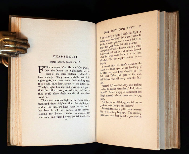 1911 Rare PETER PAN First Edition - PETER and WENDY by James Matthew Barrie illustrated by F.D. Bedford.