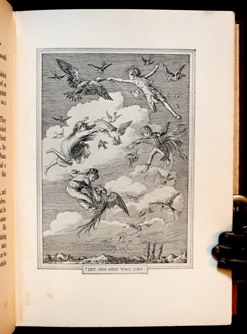 1911 Rare PETER PAN First Edition - PETER and WENDY by James Matthew Barrie illustrated by F.D. Bedford.