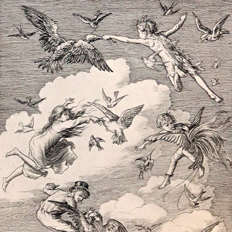 1911 Rare PETER PAN First Edition - PETER and WENDY by James Matthew Barrie illustrated by F.D. Bedford.