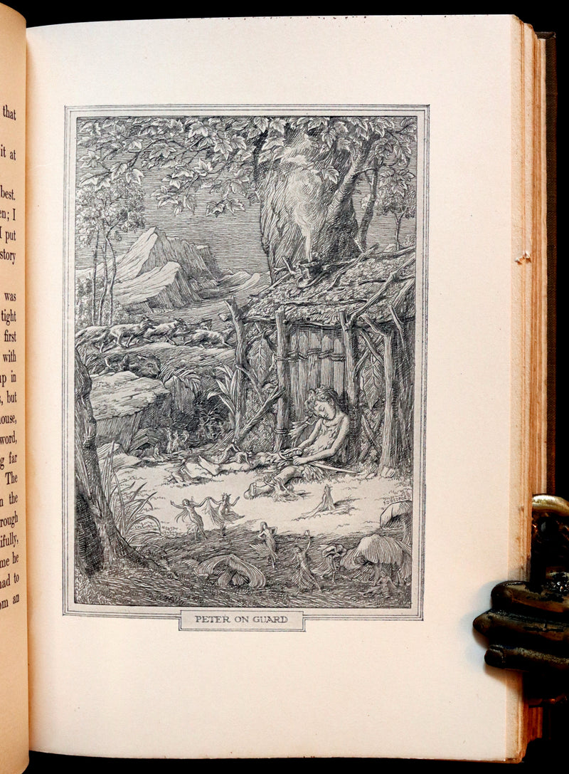 1911 Rare PETER PAN First Edition - PETER and WENDY by James Matthew Barrie illustrated by F.D. Bedford.