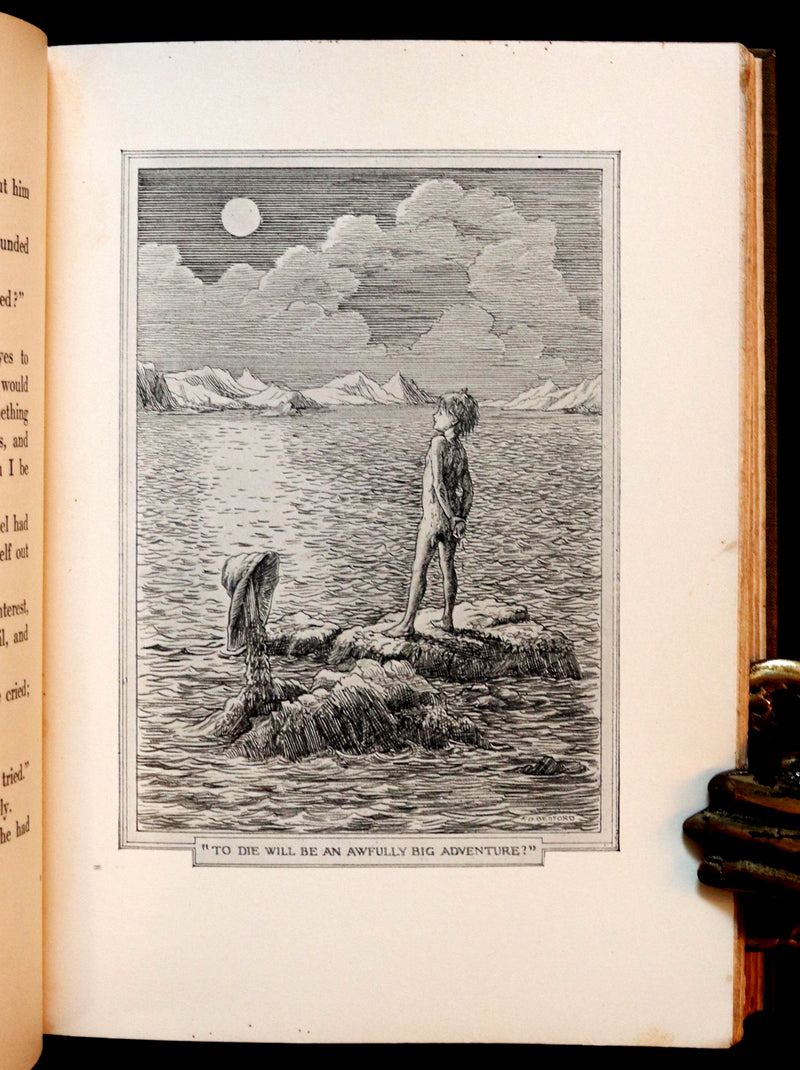 1911 Rare PETER PAN First Edition - PETER and WENDY by James Matthew Barrie illustrated by F.D. Bedford.