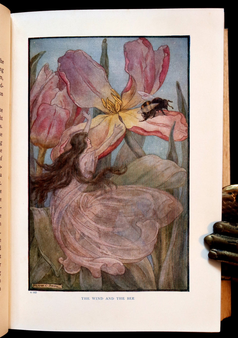 1911 Rare Edition - AT THE BACK OF THE NORTH WIND Illustrated by Frank C. Pape.