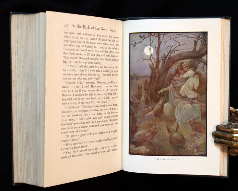 1911 Rare Edition - AT THE BACK OF THE NORTH WIND Illustrated by Frank C. Pape.