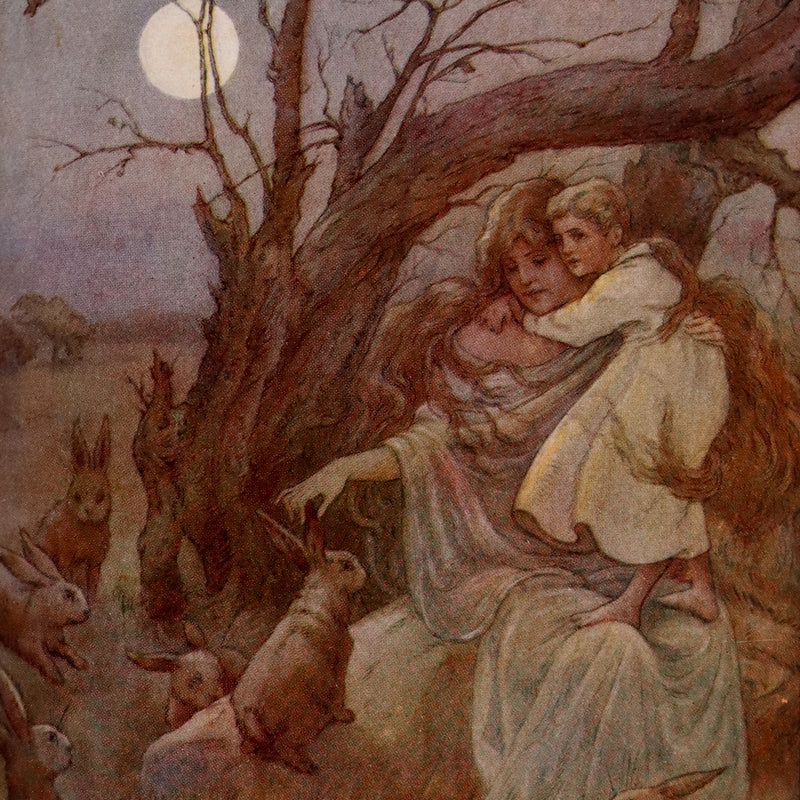 1911 Rare Edition - AT THE BACK OF THE NORTH WIND Illustrated by Frank C. Pape.