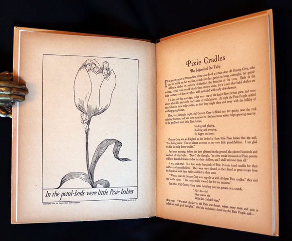 1926 Scarce Book - The Legend of the Tulip & Other Fairy Flowers wonderfully Illustrated by Willy Pogany.