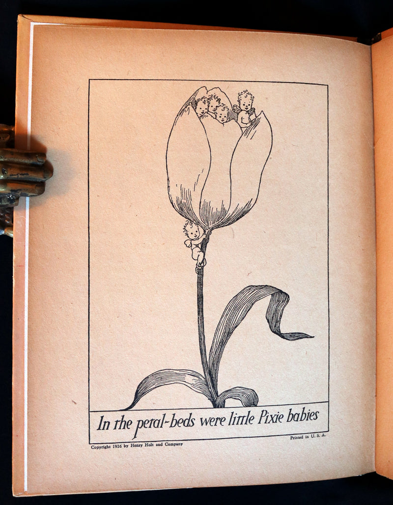 1926 Scarce Book - The Legend of the Tulip & Other Fairy Flowers wonderfully Illustrated by Willy Pogany.