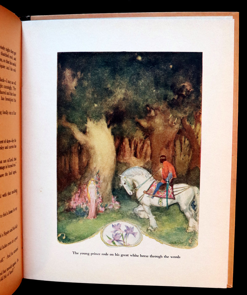 1926 Scarce Book - The Legend of the Tulip & Other Fairy Flowers wonderfully Illustrated by Willy Pogany.