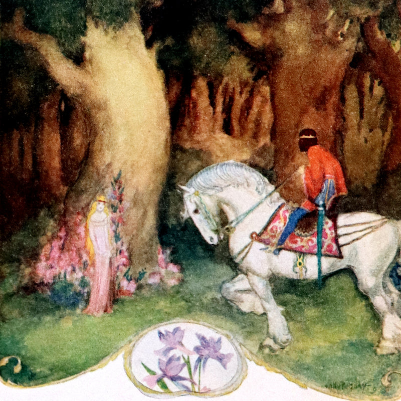 1926 Scarce Book - The Legend of the Tulip & Other Fairy Flowers wonderfully Illustrated by Willy Pogany.