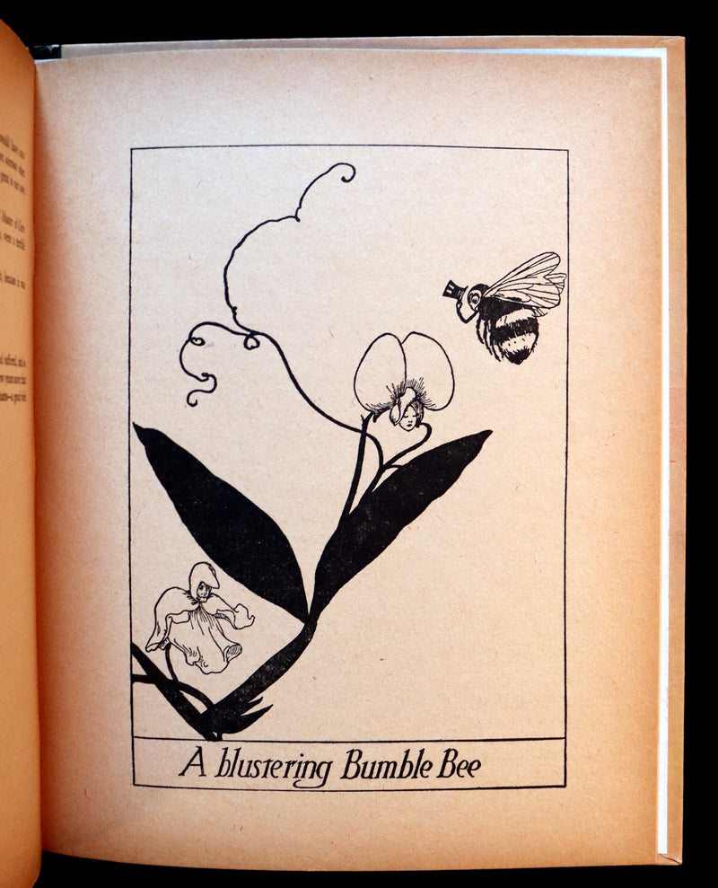 1926 Scarce Book - The Legend of the Tulip & Other Fairy Flowers wonderfully Illustrated by Willy Pogany.