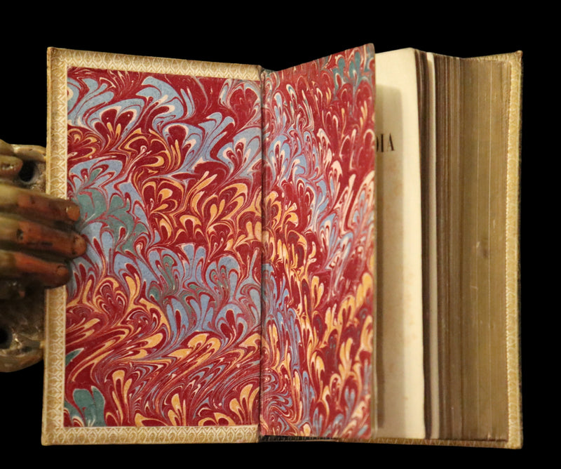 1869 Rare Italian Vellum Book - La Divina Commedia di DANTE ALIGHIERI - Divine Comedy.