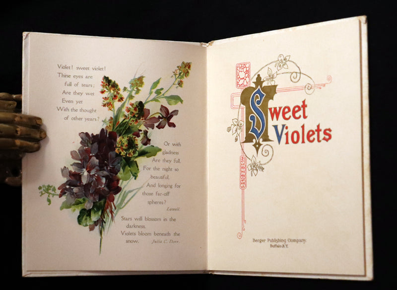 1908 Scarce Flowers Poetry Book ~ THE SWEET VIOLETS Illustrated.