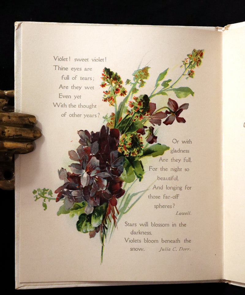 1908 Scarce Flowers Poetry Book ~ THE SWEET VIOLETS Illustrated.