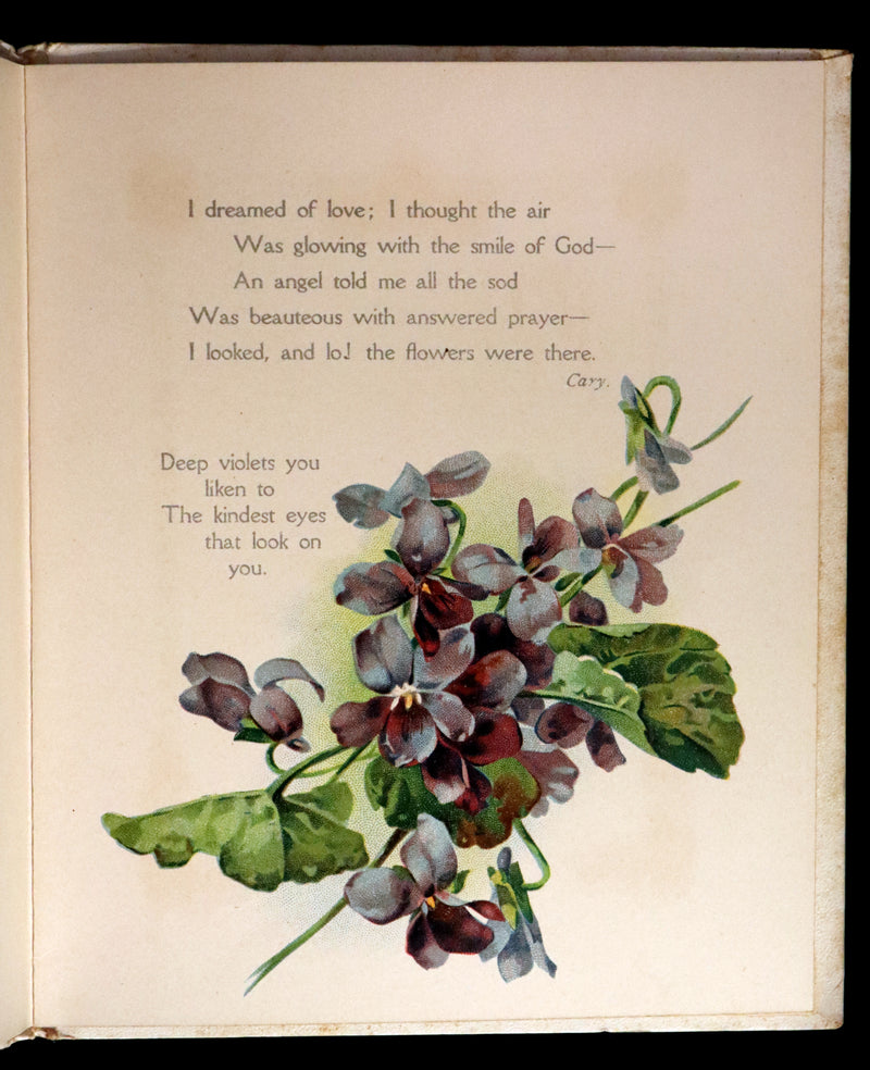 1908 Scarce Flowers Poetry Book ~ THE SWEET VIOLETS Illustrated.