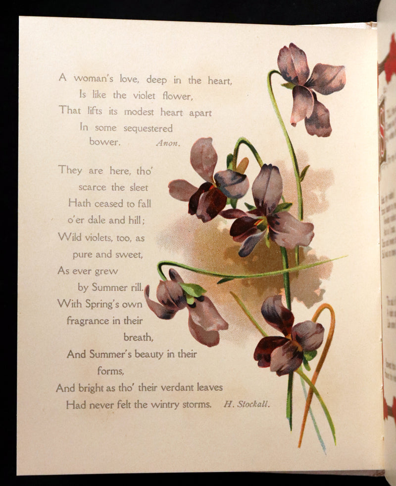 1908 Scarce Flowers Poetry Book ~ THE SWEET VIOLETS Illustrated.