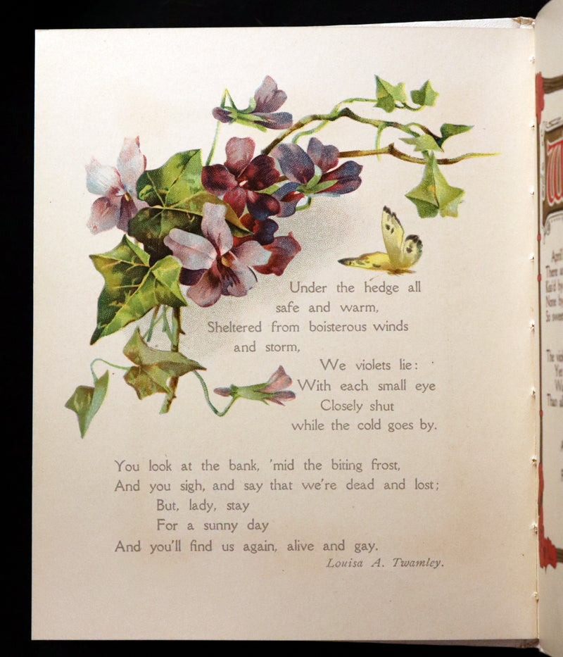 1908 Scarce Flowers Poetry Book ~ THE SWEET VIOLETS Illustrated.